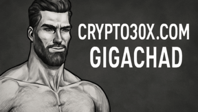 Crypto30x.com Gigachad: